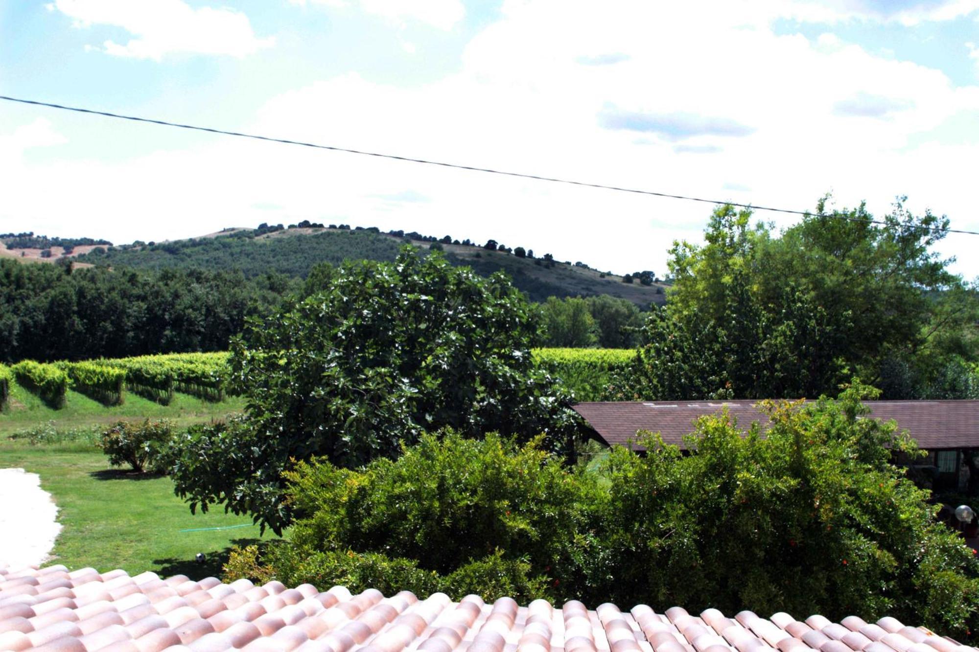 Agriturismo La Vecchia Quercia Montemerano Zewnętrze zdjęcie