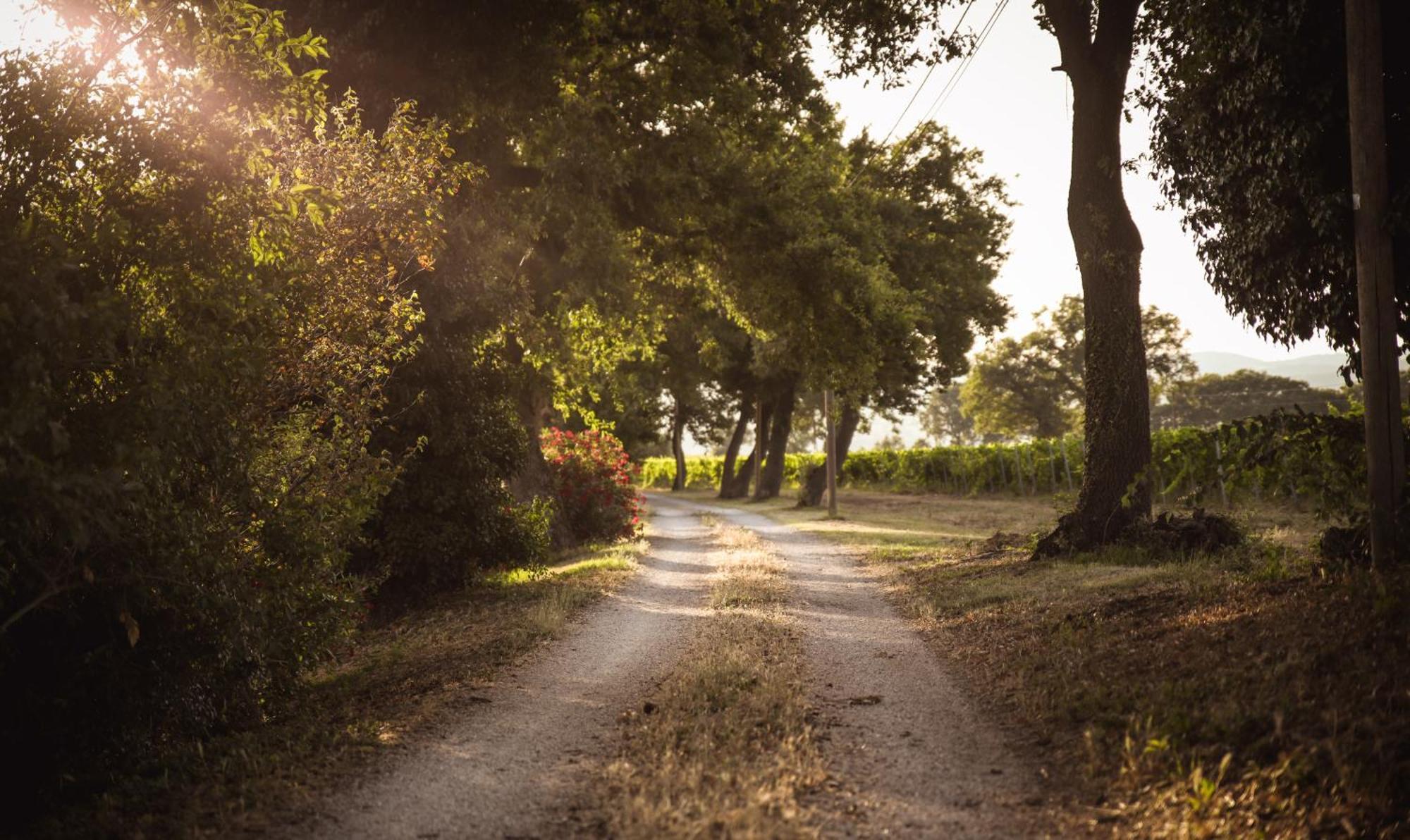 Agriturismo La Vecchia Quercia Montemerano Zewnętrze zdjęcie